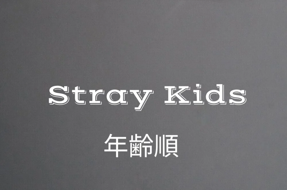 StrayKids 】スキズ年齢順！最年長・最年少は？ knブログ